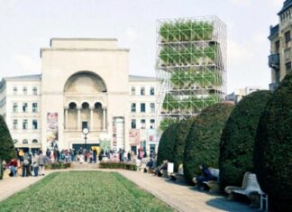 Grădină urbană, amenajată timp de zece luni în centrul municipiului Timișoara Gradina Urbana