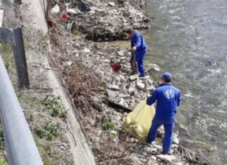 Firmă din Oradea, amendată cu 70.000 de lei de către Garda de Mediu Amenda