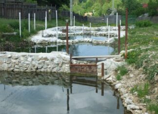 Patru păstrăvării ilegale, descoperite de Garda de Mediu în Mehedinți Pastravarie