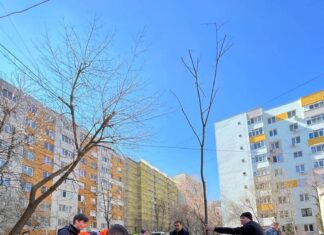 City managerul Sectorului 5, Rareș Hopincă: Peste 400 de tei și mesteceni vor fi plantați vineri în Parcul Eroilor Plantari