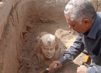 O nouă statuie sub formă de sfinx, descoperită în Egipt Sfinx