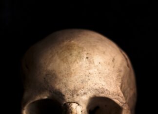 Craniu uman, descoperit într-o pădure din județul Buzău Cranu