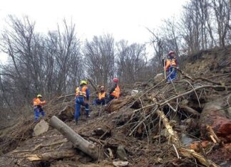 Probleme de trafic pe Valea Oltului