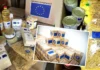 A început distribuirea ajutoarelor alimentare din partea Uniunii Europene Ajutoare alimentare