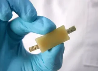 Prima baterie comestibilă, fabricată de oamenii de știință din Italia Baterie comestibila