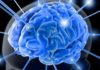 Magneziul protejează creierul uman împotriva demenţei Creier
