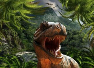 Schelet de T-Rex, vândut la licitație cu aproape 5,6 milioane de euro Tiranosaur
