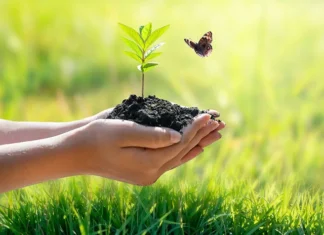 Campanie de ecologizare în județul Maramureş Ecologizare