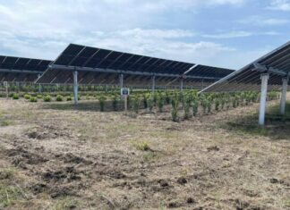 Cea mai mare fermă agrovoltaică din Italia, inaugurată lângă oraşul sicilian Trapani Ferma