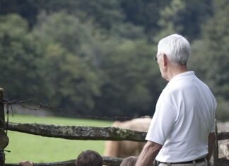 Gabriela Firea: Vom acorda lunar un sprijin financiar de 480 de lei bunicilor sau rudelor care se ocupă de creșterea copiilor cu părinți plecați la muncă în străinătate Gabriela Firea