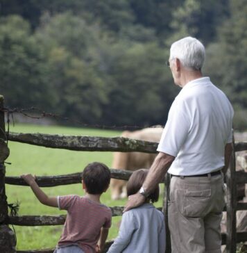 Gabriela Firea: Vom acorda lunar un sprijin financiar de 480 de lei bunicilor sau rudelor care se ocupă de creșterea copiilor cu părinți plecați la muncă în străinătate Gabriela Firea