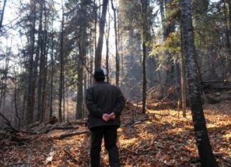 Pădurar în stare gravă, după ce a fost agresat de ciobanii de la o stână Padurar