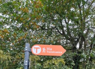 Fostă cale ferată cu cremalieră, transformată în pistă folosită de turiști sau bicicliști Via Transilvanica