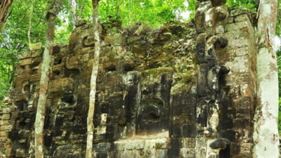 Civilizatia Maya
