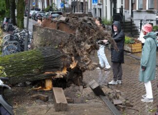 Mai multe orașe din Olanda, devastate de furtuna Poly Furtuna Poly