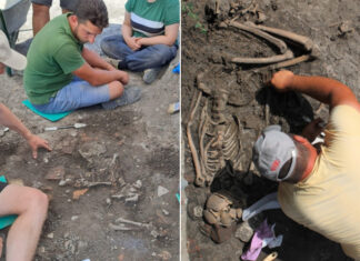 Trei schelete umane, descoperite la Alba Iulia Schelete