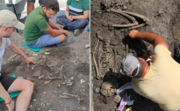 Trei schelete umane, descoperite la Alba Iulia Schelete