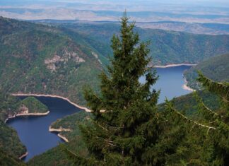 Se caută voluntari pentru igienizarea Lacului Tarnița Lacul Tarnita