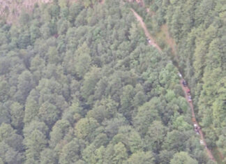 Sute de turiști germani, blocați cu mașinile pe un drum forestier afectat de ploile abundente Turisti germani