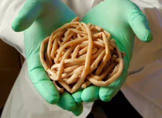 Viermi preistorici ascunși în gheață de 46.000 de ani, readuși la viață Viermi