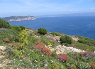 Turist francez arestat în Sardinia, pentru că a încercat să scoată din Italia 41 de kilograme de pietricele în portbagajul maşinii sale SARDINIA