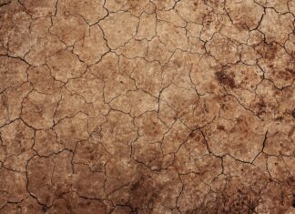 Seceta moderată va afecta local sudul şi estul Olteniei Seceta