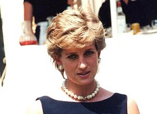 Un pulover purtat de prinţesa Diana, scos la licitaţie Printesa Diana