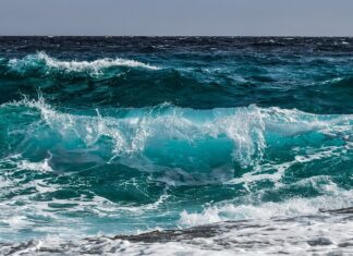 Temperatura oceanelor a ajuns la o valoare record din cauza schimbărilor climatice Ocean