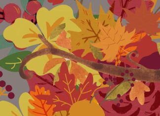 Prognoza meteo pentru următoarele 4 săptămâni toamna