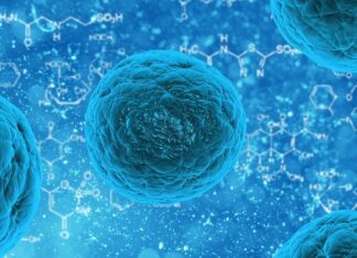 Primul deces uman din cauza gripei aviare H5N2 Virus