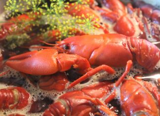 Activitatea restaurantului Taverna Racilor din Timişoara, oprită temporar de Protecţia Consumatorului Raci