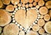 Care este prețul de vânzare al lemnului de foc de către Romsilva încălzire