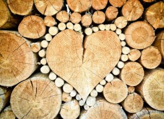 S-a înjumătățit numărul reclamațiilor la 112 privind tăierile sau transporturile ilegale de lemn încălzire