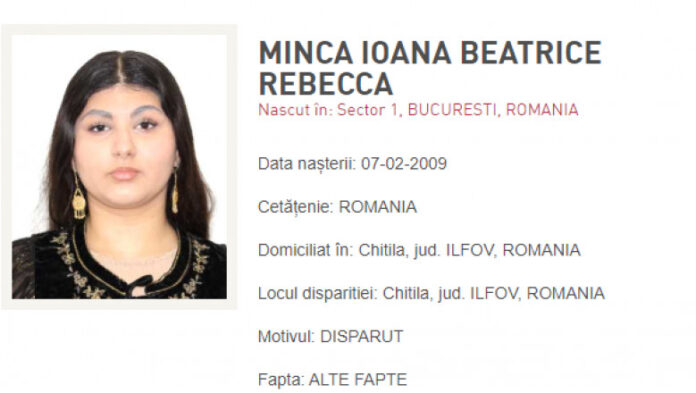 Ioana Minca