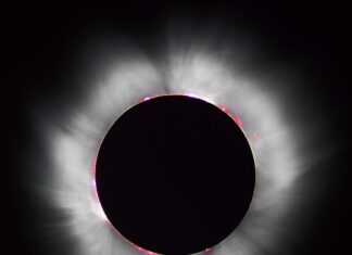 Eclipsa solară de pe 8 aprilie, studiată de piloții NASA din avion Eclipsa