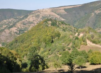 Cetatea dacică de la Căpâlna, vandalizată Cetate dacica