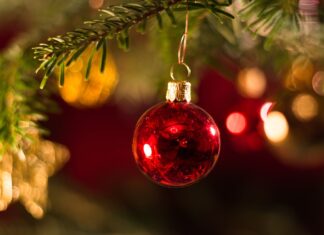 Factorii care afectează sănătatea organismului în perioada Crăciunului Craciun