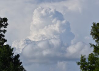 Temperaturi record și fenomene meteo extreme până în primăvara anului 2024 Nori