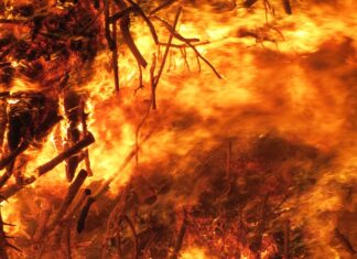 Două persoane au murit în urma unui incendiu de pădure în Grecia Incendiu