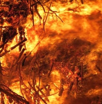 Două persoane au murit în urma unui incendiu de pădure în Grecia Incendiu