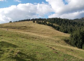 Turişti blocaţi în staţiunea Padiş, din cauza zăpezii căzute toată noaptea Platoul Padis