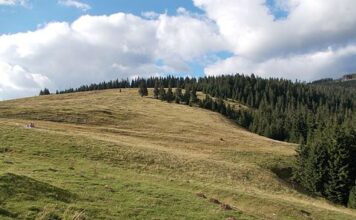 Turişti blocaţi în staţiunea Padiş, din cauza zăpezii căzute toată noaptea Platoul Padis