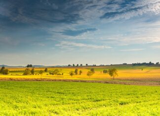 2023, în topul celor mai călduroși ani din ultimii 125.000 de ani Vreme calda