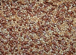 Semințe rare și exotice oferite gratuit grădinarilor de BRGV Buzău Seminte