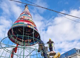 Brad confecționat din fulare în Târgu Mureș Brad din fulare