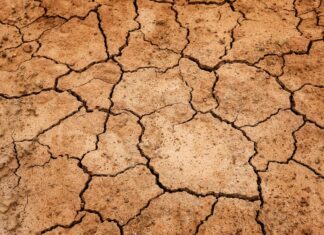 Plăci din scoarța Pământului lipsesc scoarta terestra