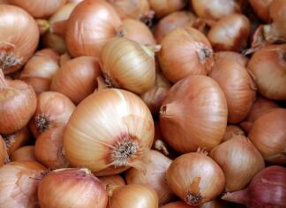 Exportul de ceapă, interzis in India până în martie 2024 Ceapa