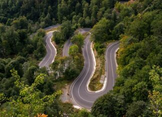 Circulaţia oprită în Pasul Gutâi din Maramureş, după căderea unui copac Pasul Gutai