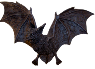 Peste 3.000 de lilieci, ascunși în podul unei case din Suceava Liliac