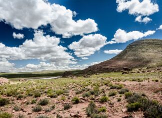 O cameră va face în Arizona o singură fotografie timp de 1.000 de ani Desert